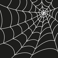 Spider web isolated on dark background. Scary spider web. Spider web outline illustration. vector