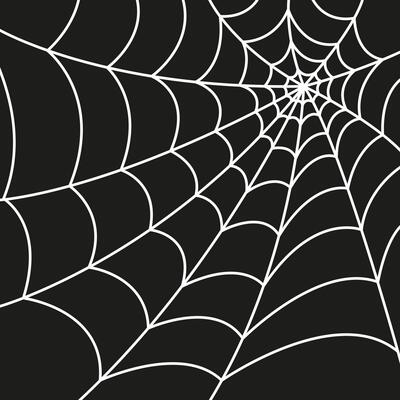 Spider web isolated on dark background. Scary spider web. Spider web outline illustration.