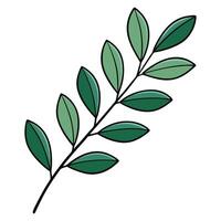 Simple Green Branch with Multiple Leaves Botanical Illustration vector