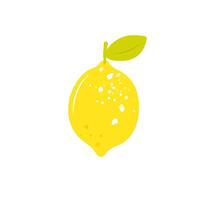 Cute simple lemon isolated on white background. Hand drawn flat cartoon illustration. Perfect for icon, logo, menu and so on. Textured lemon fruit vector