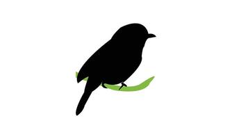 African dusky flycatcher bird black Silhouette Design vector