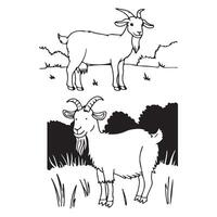 Goat on a farm animal vector