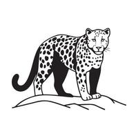 Beautiful leopard on a branch vector