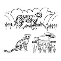 Cute Cheetah on a branch vector