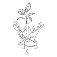 Robotic hand and a human hand reaching towards a sprouting plant,connection between technology and nature and the growth of artificial intelligence Minimalist line art .Logo, emblem, print vector
