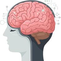 Detailed illustration of a human profile with an exposed brain, showcasing neural connections and digital elements, flat design art vector