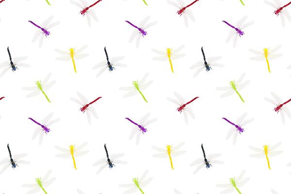 A Beautiful and Colorful Dragonfly Pattern Set Against a Crisp White Background Design. seamless pattern