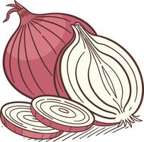 An onion and a slice of onion vector