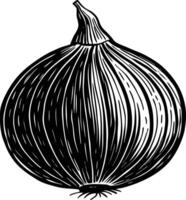 An onion is shown in a black and white drawing vector