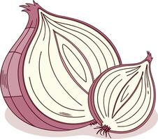 An onion is shown with two halves vector