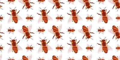 A cheerful Bees Pattern ideal for creative designs, crafts, and products with vibrant touch. spring seamless pattern vector