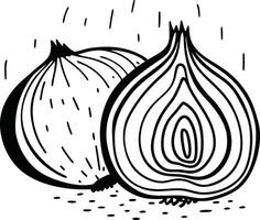An onion is shown in black and white vector