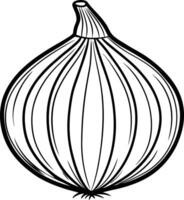 An onion is drawn in black and white vector
