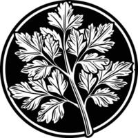 A black and white illustration of a parsley plant vector