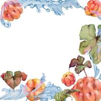 Cloudberry raspberry flying in wave water splashes with drops, hand drawn in watercolor, ripe red forest berry and leaves. Square frame illustration for restaurant, cafe menu, wedding, farmers market vector
