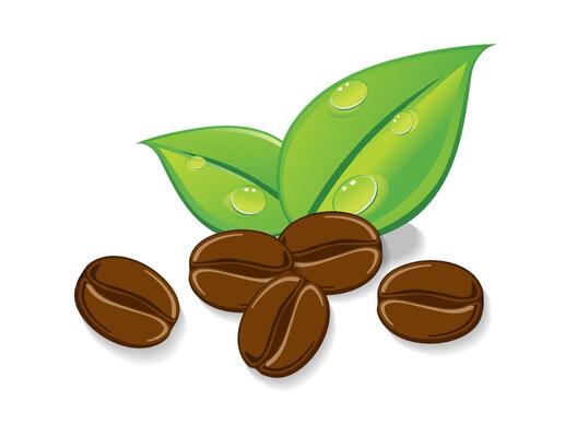 grains of coffee