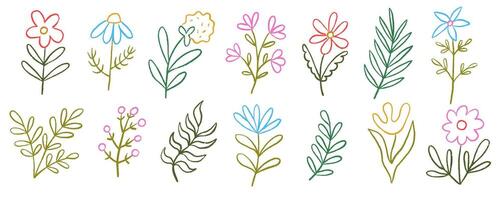 Set of flower kid crayon pencil. Abstract modern drawn botanical floral elements. Child color outline chalk hand drawn with plant. vector