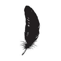 Dark Artistic Black Feather with Expressive Brush Strokes vector