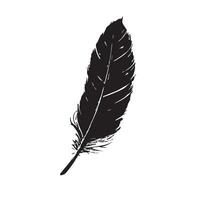 Soft Yet Distressed Black Feather Drawing with a Rough Touch vector