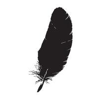 Bohemian-Style Black Feather with a Distressed Finish vector