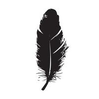 Expressive Freeform Black Feather Sketch with a Weathered Appearance vector