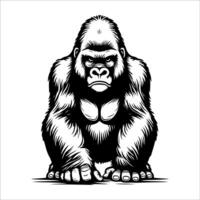 gorilla on a white background. outline illustration of a gorilla. vector