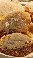 Discovering the art of honey extraction at a local farm video