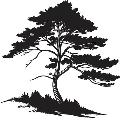 A black and white silhouette of a pine tree