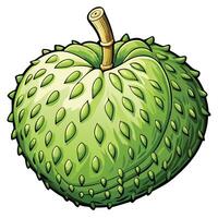 a green fruit with leaves on it vector