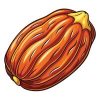 cocoa pod illustration isolated on white background vector