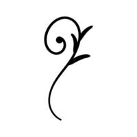 Calligraphic design element. Hand drawn illustration. vector