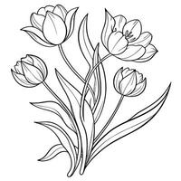 A detailed black and white line drawing of six tulips with long vector