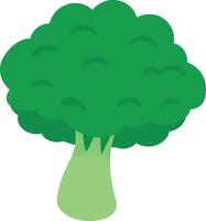 Broccoli Adobe Illustrator Artwork vector