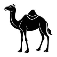 a camel is standing in front of a white background vector