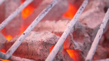 Grilling techniques for perfect barbecue during summer gatherings video