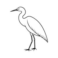 a drawing of a bird standing on its legs vector