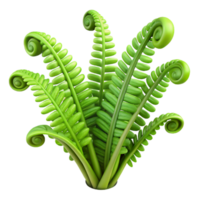 elegant rustic vibrant rustic 3D Render Lush Green Fern Illustration high resolution high quality png