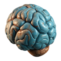 extraordinary creative Brain d Model Rotating View Transparent Background high quality png