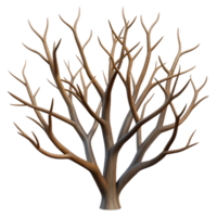 serene abstract Bare Tree Branches Silhouette Transparent Background high resolution png