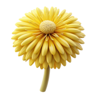 elegant artistic Yellow Dandelion Flower Isolated with Seed Head premium png