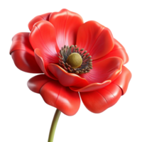 dramatic vintage Red Poppy Flower Wildflower Bloom Isolated Element high quality png