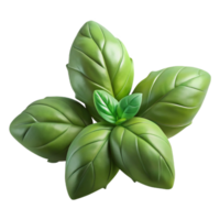 impressive minimalist Basil Leaves Green Isolated on Transparent Background high resolution png