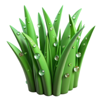 serene abstract Green Grass Blades with Dew Drops Transparent Background high resolution png