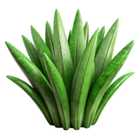 dramatic minimalist Green Grass Blades Close Up Cutout detailed png