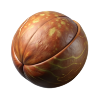 stunning rustic Macadamia Nut Brown Isolated Element with Smooth Shell professional png