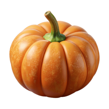 elegante vintage laranja abóbora haste Cortar fora com realista textura transparente fundo Alto resolução png