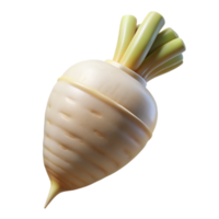 elegant traditional Parsnip Root White Tapered Isolated Cutout exclusive png