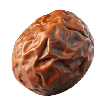 elegante rústico passas Castanho enrugado Cortar fora em transparente fundo genuíno png