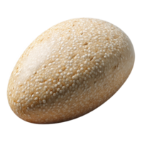 stunning classic Sesame Seeds White Small Isolated Element with Oval Shape premium png