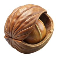 magnificent artistic Walnut Nut Brown Cutout on Transparent Background with Shell professional png